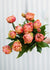 Pre-Cooled Copper Image Tulip Bulbs - Menagerie Farm & Flower