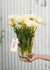Pre-Cooled Mondial Tulip Bulbs - Menagerie Farm & Flower