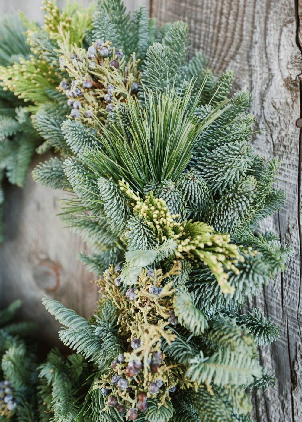 Wintergreen Holiday Wreath - Menagerie Farm & Flower